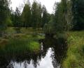 images/Schweden/Schweden 2025/DSC02582.jpg